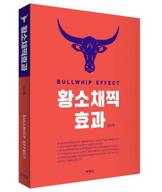 황소채찍효과(Bullwhip Effect)