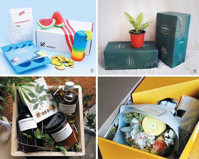 ①매달 다른 주제의 상품을 선보이는 반려견용 ‘베이컨박스’. ②‘꾸까’의 식물 박스. ③향초·미스트·디퓨저로 구성된 ‘스노즈’의 향 박스. ④꽃다발이 들어 있는 ‘꾸까’의 플라워박스./베베티움·베이컨박스·꾸까·스노즈