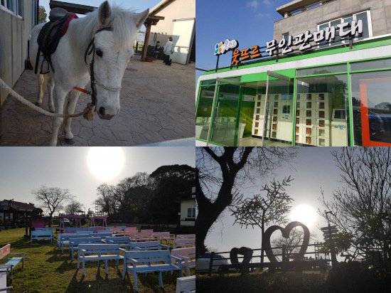 웃뜨르 권역의 다양한 체험 마을 모습. 김형욱 기자