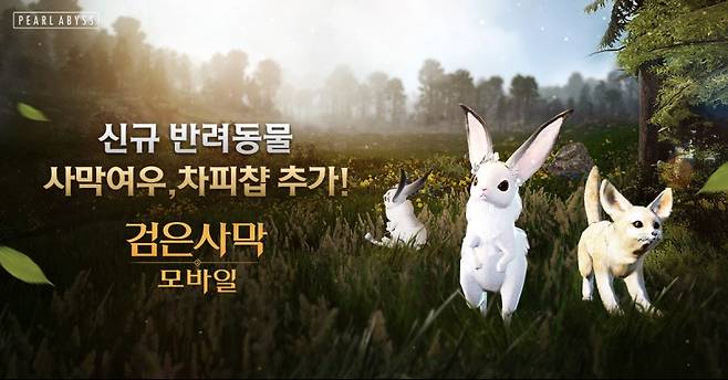 검은사막 모바일 이미지