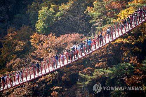 파주 감악산 출렁다리 [연합뉴스 자료사진]