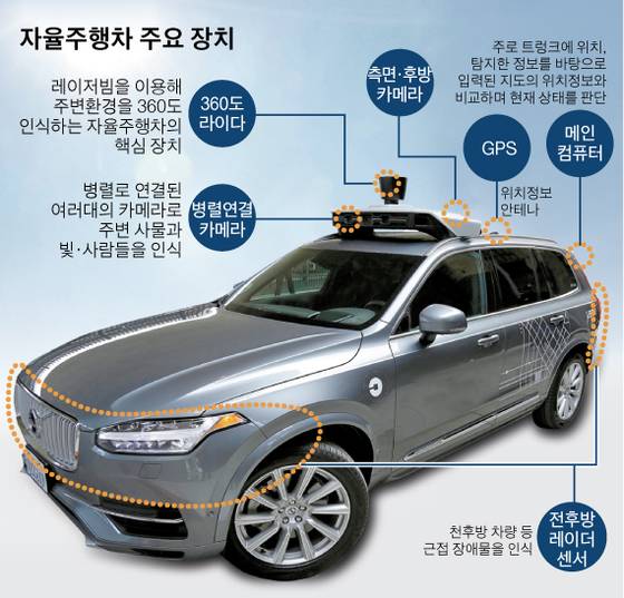 그래픽=김영옥 기자 yesok@joongang.co.kr