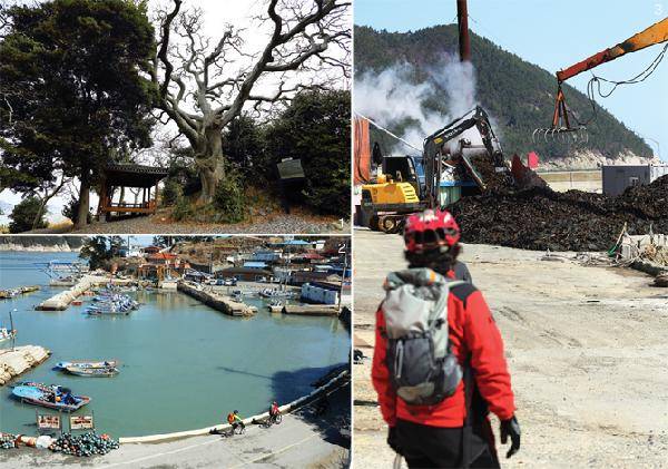 [월간산]1. 신평리의 보호수 팽나무. 2. 금일도 남쪽의 작은 섬 소랑도를 자전거를 타고 돌아보고 있다. 3. 사동항에서 미역 가공장을 구경하고 있는 백은식씨.