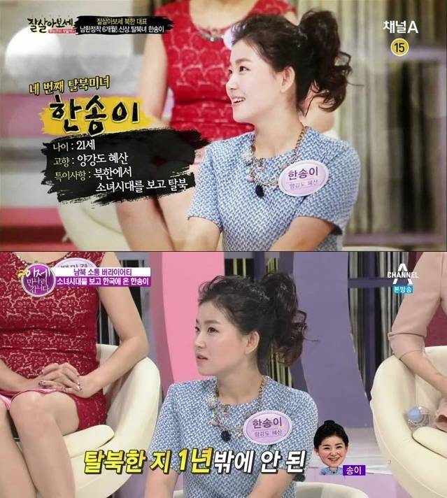 한송이. 사진|채널A 방송화면 캡처