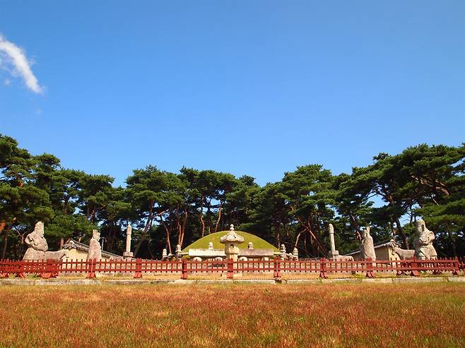 세종과 소헌왕후 심씨의 ‘영릉’, 합장릉으로 조성된 사례 중 하나다. ⓒ김희태