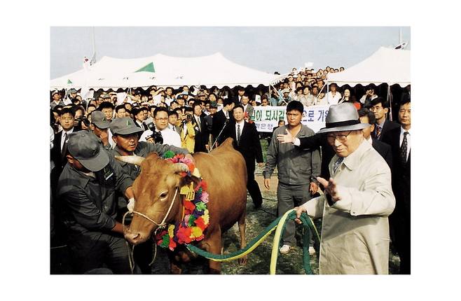 정주영 현대그룹 명예회장이 1998년 '소떼 방북'을 위해 소 고삐를 잡고 환송 인파에게 인사를 건네고 있다.