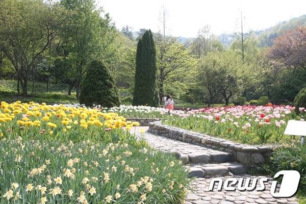 고운 식물원 모습. 사진제공=청양군청© News1