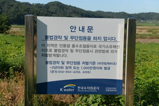 안동댐 불법 경작 팻말. 백경서 기자