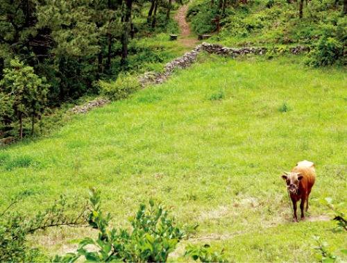 개도 천제봉 가는 길에 만난 우공