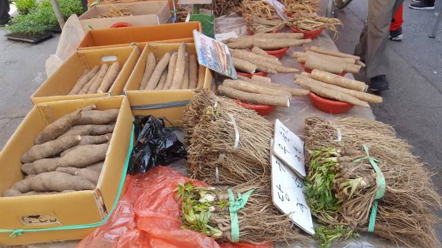 각종 약뿌리들. ⓒ한미숙