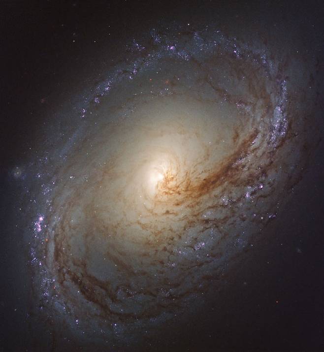 나선은하 NGC 3368. 사자자리에 있으며 지구에서 약 3500만 광년 떨어져 있다. 메시에 96(M96)으로도 불린다.