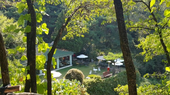 경북 칠곡, 시크릿가든은 이름처럼 팔공산 자락에 숨어 있는 비밀한 정원이다. [사진 국립수목원]