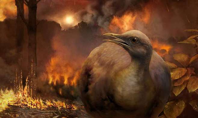 중생대 말 소행성 충돌은 세계의 숲을 모두 태웠고, 땅바닥에 살던 일부 새들이 살아남아 새롭게 진화했다는 새로운 가설이 나왔다. 필립 크르제민스키, 바스대 제공.