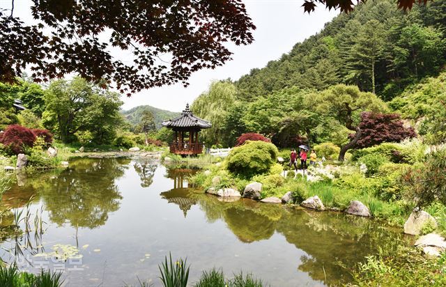 한국식 정원의 아름다움을 연출한 서화연.