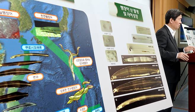 2016년 6월 당시 윤학배 해양수산부 차관이 정부세종청사 해수부 기자실에서 세계 두번째로 성공한 뱀장어 완전양식 기술에 대해 설명하고 있다. [중앙포토]