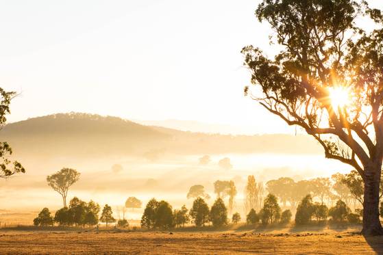 제냐 그룹이 소유한 아킬 농장의 자연. 제냐는 이 최상의 자연환경을 유지하기 위해 다양한 환경보호 프로젝트를 실행하고 있다.