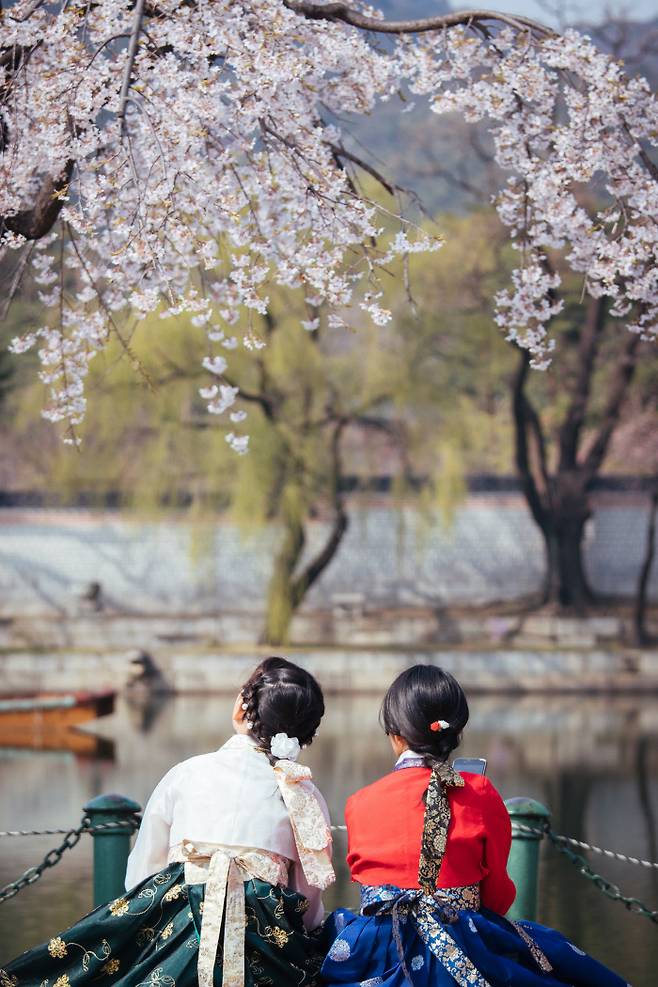 입선 <벚꽃 아래서> 김룡. 경복궁