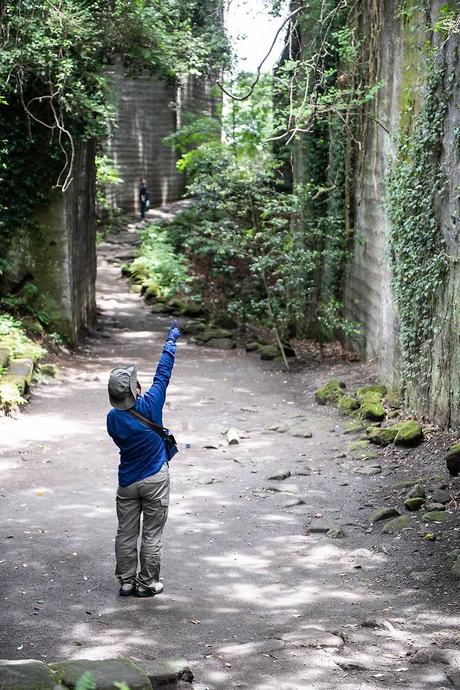 치바현 노코기리산 정상에서 길을 걷다보면, 양 옆 병풍처럼 서있는 바위에 돌을 캘때 생긴 물결무늬가 있는 것을 볼 수 있다. ⓒ지상훈