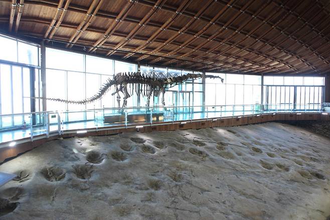 마멘키사우루스 골격과 대형 공룡 발자국 화석이 있는 3보호각