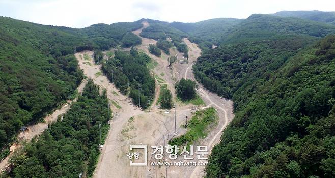 산사태 위험이 커지고 있는 강원도 정선군 북평면 숙암리 가리왕산 알파인스키 경기장. / 정지윤 기자