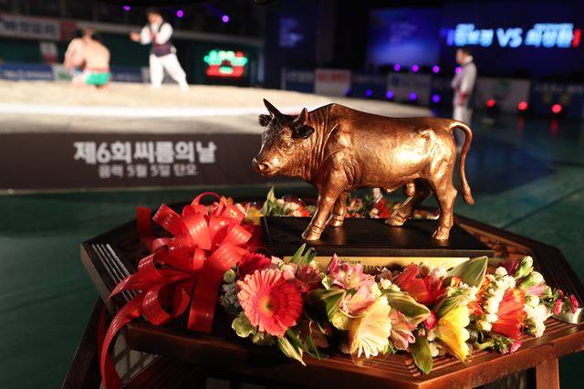 보은 단오장사대회 황소 트로피. 대한씨름협회 제공