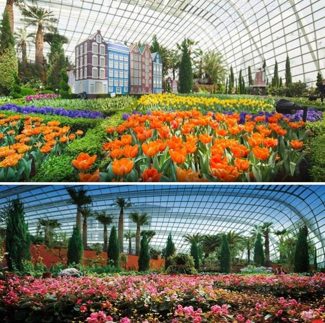 [플라워돔. 사진출처=가든스바이더베이 홈페이지]