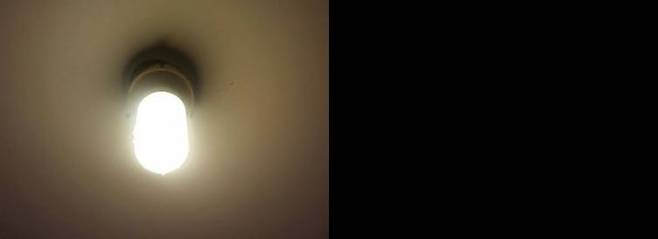 빛과 같은 자극에 대한 정보의 부재를 감지하는 것은 0을 이해하는 두 번째 단계이다. - RMI 제공