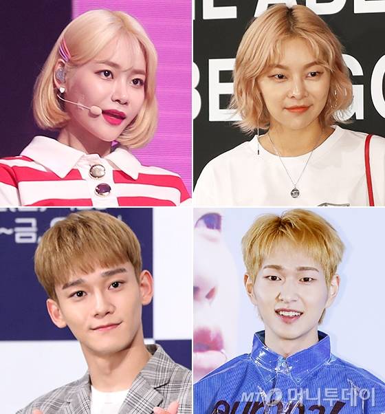 왼쪽부터 시계방향으로 그룹 AOA 유나, 모델 송해나, 샤이니 온유, 엑소 첸/사진=머니투데이 DB