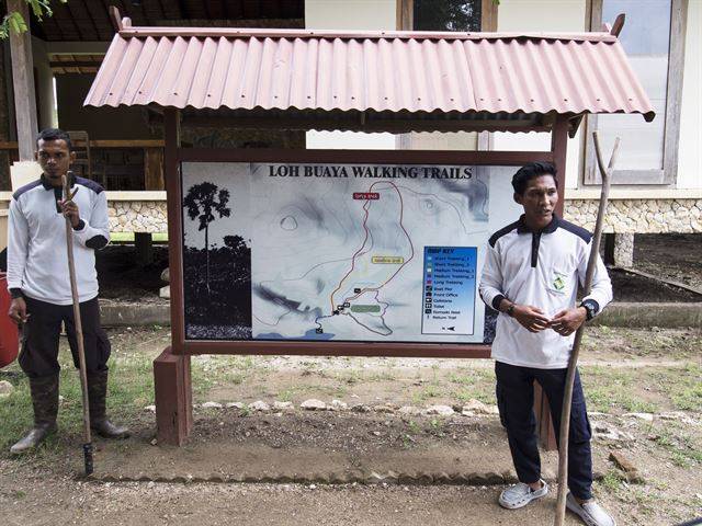 코모도왕도마뱀을 보려면 반드시 레인저와 동행해야 한다.