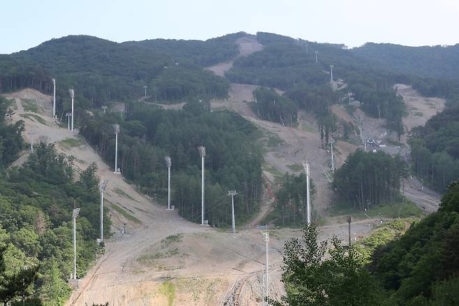 슬로프를 따라 세워진 조명탑. 정선/김봉규 선임기자