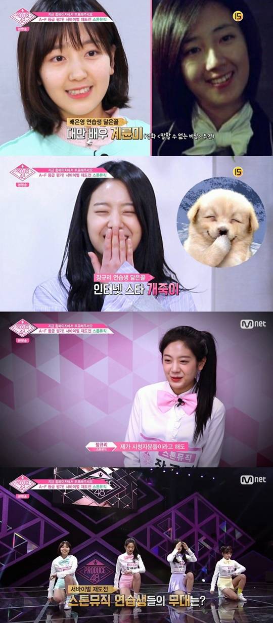 티브이데일리 포토