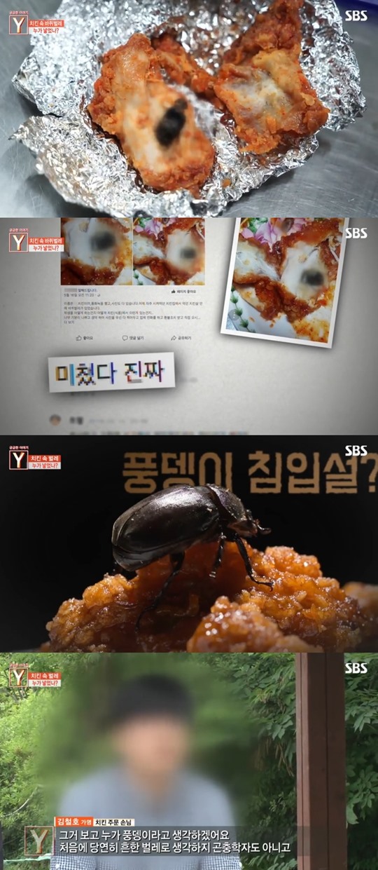 궁금한 이야기Y 치킨 바퀴벌레
