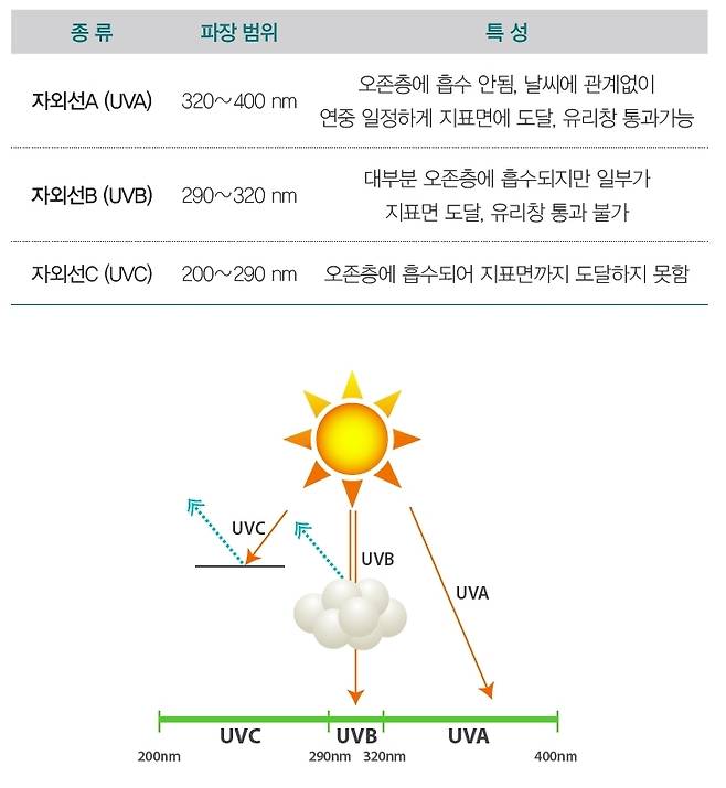 자료:식품의약품 안전평가원© News1