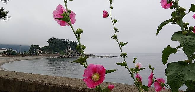 모사금해수욕장 가는길 ⓒ심명남