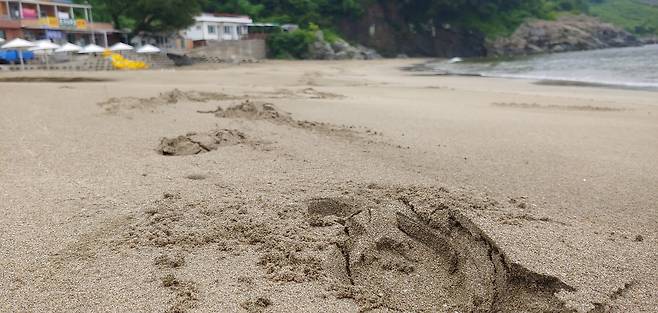 모래에 사금이 나온다는 것에서 유래된 모사금해수욕장의 고운 모래 ⓒ심명남