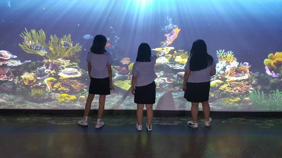 지난달 29일 대구 북구 산격동의 대구교육박물관을 찾은 상인중학교 학생들이 디지털 아쿠아리움에서 자신들이 그린 물고기 그림을 찾고 있다. [사진 대구교육박물관]