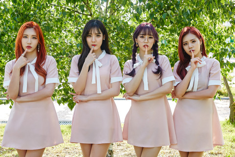 플래쉬
