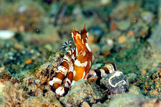 제임스 정 제공