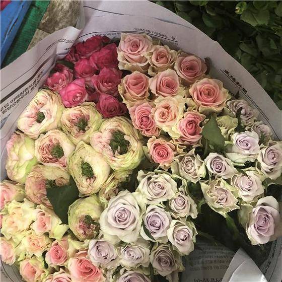 꽃시장에서 사입한 다양한 장미들. [사진 류아은]