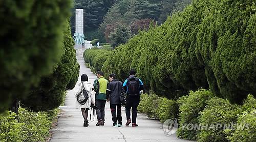 2014년 서울 국립현충원 모습. 길옆에 있는 나무가 가이즈카향나무. 현충원은 이 나무를 대부분 무궁화와 철쭉으로 바꿨다. [연합뉴스 자료사진]