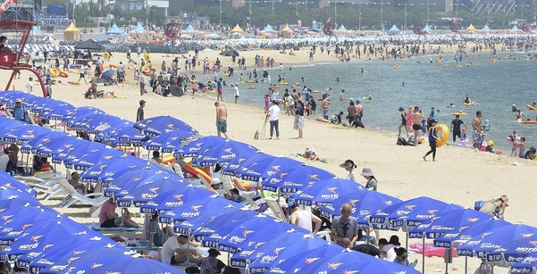 15일 오후 폭염 경보가 발효된 가운데 부산 해운대 해수욕장에 피서객들이 물놀이를 하며 더위를 잊고 있다./김동환 기자