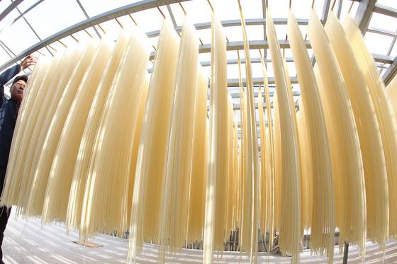 경북 포항시 구룡포읍 제일국수공장에서 상인이 해풍에 국수를 말리기 위해 갓 뽑은 면을 건조대에 널고 있다. 2017년 자료사진. [프리랜서 공정식]