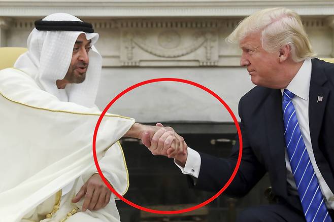 2017년 5월 15 일 도널드 트럼프 미 대통령이 워싱턴 백악관에서 모하메드 빈 자이드 알 나흐얀 아랍에미리트(UAE) 왕세자와 만나 악수하는 장면.[AP=연합뉴스]