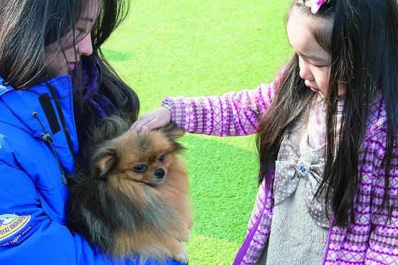 사회화 시기에 매일 사람의 손길이 닿은 강아지는 사람을 더 따르고 적극적인 성격을 가진다. [중앙포토]
