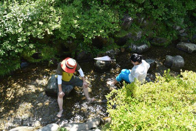 땀띠물에 발만 담가도 머리까지 시원한 기운이 올라온다.