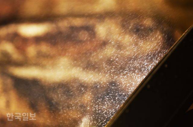 동굴 내부 조명에 이슬 입자의 움직임이 보인다.