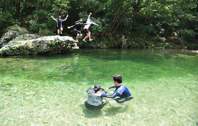 피서객들이 병지방계곡 초록 물속으로 뛰어들고 있다.