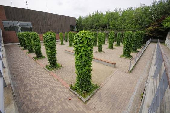 녹색기둥의 정원