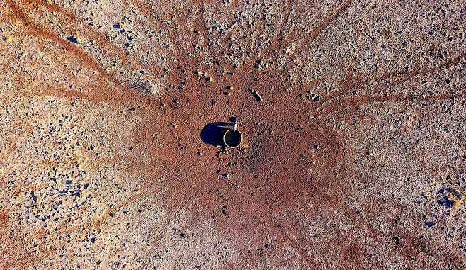 캥거루 한마리가 호주 뉴 사우스 웨일즈 평원의 우물에서 물을 마시고 있다. 주변 땅이 붉게 메말라 있다. [REUTERS=연합뉴스]