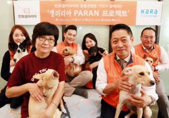 한화갤러리아는 신규 사회공헌 프로그램 ‘갤러리아 PARAN(Protection of Animal Rights and Animal Needs) 프로젝트’를 전개한다고 9일 밝혔다. 동물권행동카라 전진경 상임이사(좌)와 한화갤러리아 김영훈 기획실장(우)가 유기견을 안고 파란 프로젝트 시행을 축하하고 있다. 사진=한화갤러리아